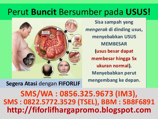 JUAL FIFORLIF TANGERANG, 0856-325-9673 (IM3), Agen 