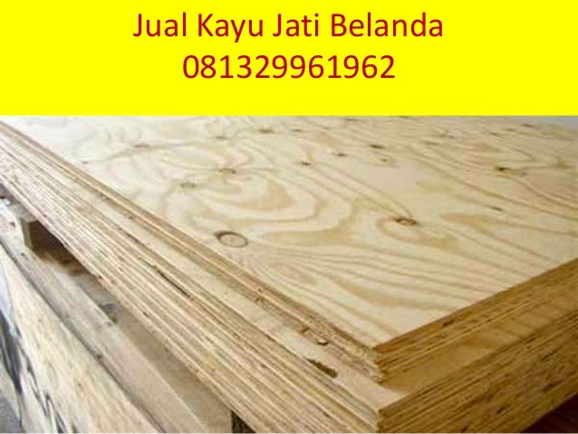 Jual Kayu Jati Belanda Jual Kayu Jati Belanda