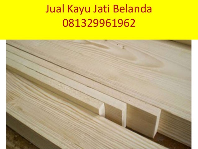 081329961962 Jual  kayu jati  belanda  jual  kayu jati  