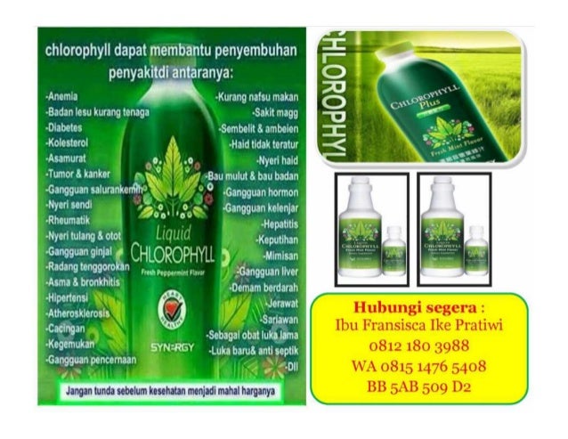 Jual klorofil synergy murah, jual klorofil synergy kaskus Jual klorofil synergy murah, jual klorofil synergy kaskus