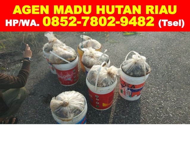 Madu Hutan Riau Kota Riau Tokopedia
