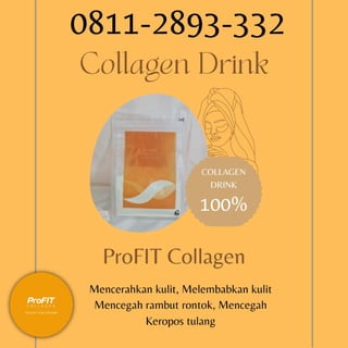 CALL 0811-2893-332 Jual collagen yang bagus untuk kulit Yogyakarta