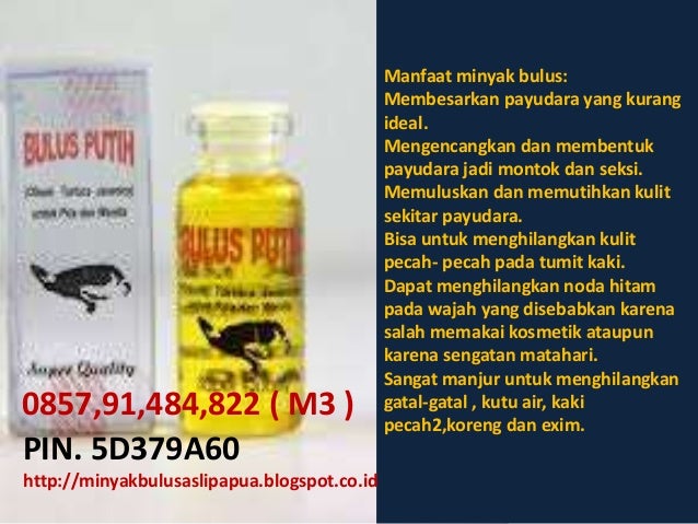 jual minyak bulus asli di malang minyak bulus asli dan jual minyak bulus asli di malang minyak bulus asli dan
