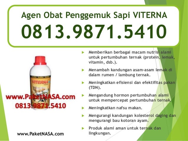 Cara Menambah Nafsu Makan Ternak Sapi - Tenak Sapi Blog