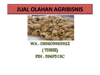 JUAL OLAHAN AGRIBISNIS
WA : 089609983922
( THREE)
PIN : 596F519C
 