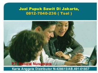 PT. Natural Nusantara
Karta Anggota Distributor N-428615/AB.491-01857
Jual Pupuk Sawit Di Jakarta,
0812-7040-236 ( Tsel )
 