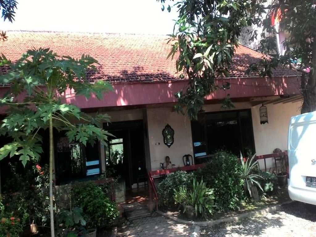 Olx Jual Tanah Kota Pasuruan