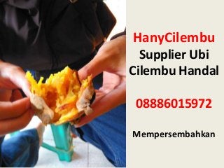 HanyCilembu
Supplier Ubi
Cilembu Handal
08886015972
Mempersembahkan
 