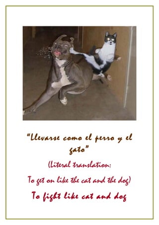 “Llevarse como el perro y el
            gato”
      (Literal translation:
To get on like the cat and the dog)
 T o fight like cat and dog
 