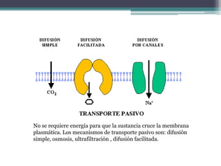 No se requiere energía para que la sustancia cruce la membrana
plasmática. Los mecanismos de transporte pasivo son: difusión
simple, osmosis, ultrafiltración , difusión facilitada.
 