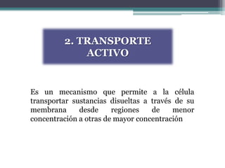 2. TRANSPORTE
             ACTIVO


Es un mecanismo que permite a la célula
transportar sustancias disueltas a través de su
membrana      desde     regiones   de    menor
concentración a otras de mayor concentración
 