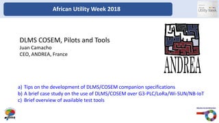 a) Tips on the development of DLMS/COSEM companion specifications
b) A brief case study on the use of DLMS/COSEM over G3-PLC/LoRa/Wi-SUN/NB-IoT
c) Brief overview of available test tools
African Utility Week 2018
DLMS COSEM, Pilots and Tools
Juan Camacho
CEO, ANDREA, France
 