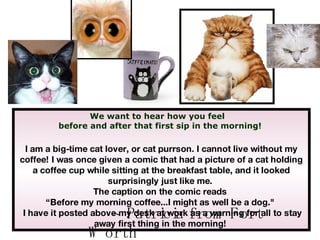 I am a big-time cat lover, or cat purrson. I cannot live without my coffee! I was once given a comic that had a picture of a cat holding a coffee cup while sitting at the breakfast table, and it looked surprisingly just like me.  The caption on the comic reads  “ Before my morning coffee...I might as well be a dog.&quot;  I have it posted above my desk at work as a warning for all to stay away first thing in the morning!   We want to hear how you feel  before and after that first sip in the morning! ~ Patricia from Fort Worth 