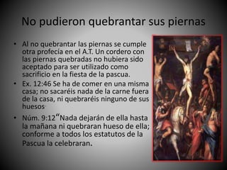 No pudieron quebrantar sus piernas
• Al no quebrantar las piernas se cumple
otra profecía en el A.T. Un cordero con
las piernas quebradas no hubiera sido
aceptado para ser utilizado como
sacrificio en la fiesta de la pascua.
• Ex. 12:46 Se ha de comer en una misma
casa; no sacaréis nada de la carne fuera
de la casa, ni quebraréis ninguno de sus
huesos.
• Núm. 9:12“Nada dejarán de ella hasta
la mañana ni quebraran hueso de ella;
conforme a todos los estatutos de la
Pascua la celebraran.
 