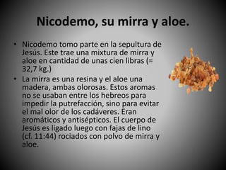 Nicodemo, su mirra y aloe.
• Nicodemo tomo parte en la sepultura de
Jesús. Este trae una mixtura de mirra y
aloe en cantidad de unas cien libras (=
32,7 kg.)
• La mirra es una resina y el aloe una
madera, ambas olorosas. Estos aromas
no se usaban entre los hebreos para
impedir la putrefacción, sino para evitar
el mal olor de los cadáveres. Eran
aromáticos y antisépticos. El cuerpo de
Jesús es ligado luego con fajas de lino
(cf. 11:44) rociados con polvo de mirra y
aloe.
 