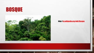 BOSQUE
http://es.wikipedia.org/wiki/Bosque
 