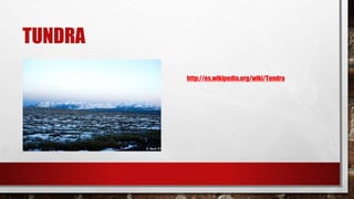 TUNDRA
http://es.wikipedia.org/wiki/Tundra
 