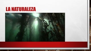 LA NATURALEZA
 