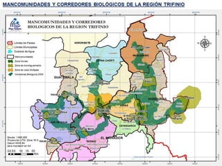 Un vistazo al territorio del Trifinio