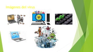 Imágenes del virus
 