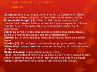 Sistema Reproductor Femenino: 
Órganos: 
La vagina es el órgano que tiene la mujer para tener una relación 
sexual o para liberar el ovulo no fecundado con la menstruación. 
Trompas de Falopio (2): Están al lado de los ovarios para 
transportar los óvulos hacia el útero hasta que el espermatozoide lo 
fecunde. Si no lo fecunda este cae en la menstruación con el 
endometrio. 
Útero: Es donde el bebe esta cuando la mama esta embarazada y 
donde el ovulo no fecundado cae en la menstruación 
Clítoris: Es un pene atrofiado cerca de la vagina, sirve para sentir 
placer. 
Ovarios (2) :Es un órgano que tiene la mujer para producir óvulos. 
Labios Mayores y menores: recubren la vagina, el meato urinario y 
el clítoris. 
Meato Urinario: Es por donde la mujer orina. 
Himen: Años antes el himen era un signo de ser virgen; sabían si eras 
virgen si todavía tenias el himen. Hoy en día este órgano se puede 
romper con movimientos bruscos o con una relación sexual. 
 