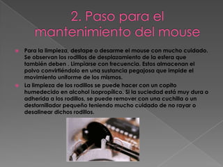    Para la limpieza, destape o desarme el mouse con mucho cuidado.
    Se observan los rodillos de desplazamiento de la esfera que
    también deben . Limpiarse con frecuencia. Estos almacenan el
    polvo convirtiéndolo en una sustancia pegajosa que impide el
    movimiento uniforme de los mismos.
   La limpieza de los rodillos se puede hacer con un copito
    humedecido en alcohol isopropílico. Si la suciedad está muy dura o
    adherida a los rodillos, se puede remover con una cuchilla o un
    destornillador pequeño teniendo mucho cuidado de no rayar o
    desalinear dichos rodillos.
 
