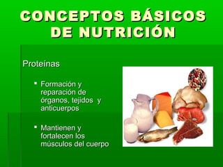 CONCEPTOS BÁSICOSCONCEPTOS BÁSICOS
DE NUTRICIÓNDE NUTRICIÓN
ProteínasProteínas
 Formación yFormación y
reparación dereparación de
órganos, tejidos yórganos, tejidos y
anticuerposanticuerpos
 Mantienen yMantienen y
fortalecen losfortalecen los
músculos del cuerpomúsculos del cuerpo
 