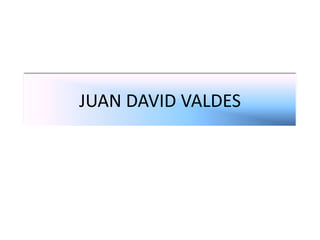 JUAN DAVID VALDES 