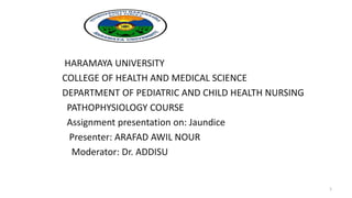 1
HARAMAYA UNIVERSITY
COLLEGE OF HEALTH AND MEDICAL SCIENCE
DEPARTMENT OF PEDIATRIC AND CHILD HEALTH NURSING
PATHOPHYSIOLOGY COURSE
Assignment presentation on: Jaundice
Presenter: ARAFAD AWIL NOUR
Moderator: Dr. ADDISU
 