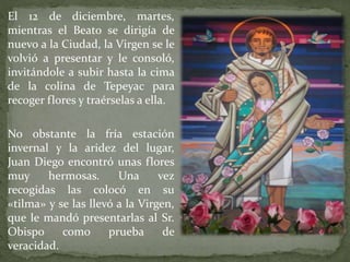 El 12 de diciembre, martes,
mientras el Beato se dirigía de
nuevo a la Ciudad, la Virgen se le
volvió a presentar y le consoló,
invitándole a subir hasta la cima
de la colina de Tepeyac para
recoger flores y traérselas a ella.
No obstante la fría estación
invernal y la aridez del lugar,
Juan Diego encontró unas flores
muy hermosas. Una vez
recogidas las colocó en su
«tilma» y se las llevó a la Virgen,
que le mandó presentarlas al Sr.
Obispo como prueba de
veracidad.
 