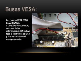 Las ranuras VESA (VIEO
ELECTRONICA
STANDARD ASOCIATION)
son unas de las
extensiones de ISA incluye
toda la electrónica de EISA
y funciona al ritmo del
microprocesador.
 