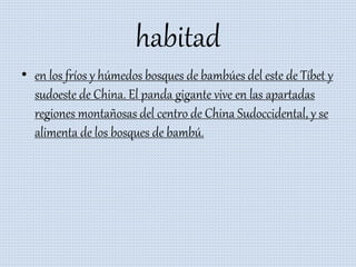 habitad
• en los fríos y húmedos bosques de bambúes del este de Tíbet y
sudoeste de China. El panda gigante vive en las apartadas
regiones montañosas del centro de China Sudoccidental, y se
alimenta de los bosques de bambú.
 