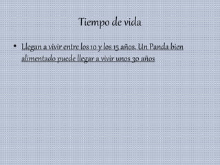 Tiempo de vida
• Llegan a vivir entre los 10 y los 15 años. Un Panda bien
alimentado puede llegar a vivir unos 30 años
 