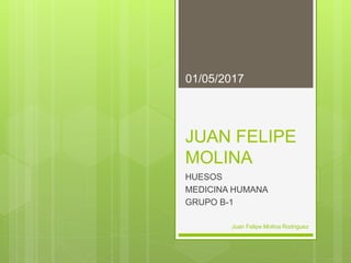 JUAN FELIPE
MOLINA
HUESOS
MEDICINA HUMANA
GRUPO B-1
01/05/2017
Juan Felipe Molina Rodriguez
 
