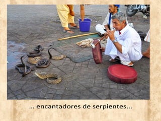 … encantadores de serpientes...
 