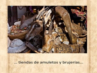 … tiendas de amuletos y brujerías...
 