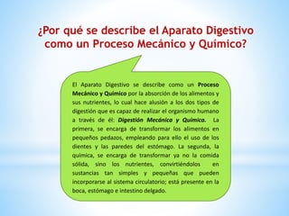 El Aparato Digestivo se describe como un Proceso
Mecánico y Químico por la absorción de los alimentos y
sus nutrientes, lo cual hace alusión a los dos tipos de
digestión que es capaz de realizar el organismo humano
a través de él: Digestión Mecánica y Química. La
primera, se encarga de transformar los alimentos en
pequeños pedazos, empleando para ello el uso de los
dientes y las paredes del estómago. La segunda, la
química, se encarga de transformar ya no la comida
sólida, sino los nutrientes, convirtiéndolos en
sustancias tan simples y pequeñas que pueden
incorporarse al sistema circulatorio; está presente en la
boca, estómago e intestino delgado.
¿Por qué se describe el Aparato Digestivo
como un Proceso Mecánico y Químico?
 