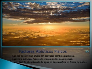 Factores Abióticos Físicos
Son los que afectan afuera sin provocar cambios químicos.
Luz: Es la principal fuente de energía de los ecosistemas.
Humedad: Es el contenido de agua en la atmosfera en forma de nubes
 