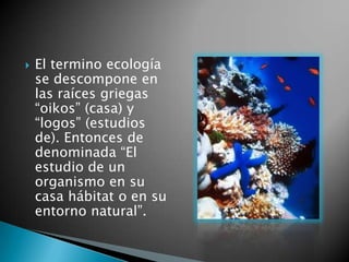    El termino ecología
    se descompone en
    las raíces griegas
    “oikos” (casa) y
    “logos” (estudios
    de). Entonces de
    denominada “El
    estudio de un
    organismo en su
    casa hábitat o en su
    entorno natural”.
 