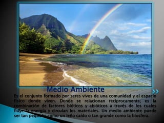 Medio Ambiente
Es el conjunto formado por seres vivos de una comunidad y el espacio
físico donde viven. Donde se relacionan recíprocamente; es la
combinación de factores bióticos y abióticos a través de los cuales
fluye la energía y circulan los materiales. Un medio ambiente puede
ser tan pequeño como un leño caído o tan grande como la biosfera.
 