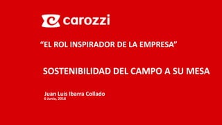 Juan Luis Ibarra Collado
6 Junio, 2018
“EL ROL INSPIRADOR DE LA EMPRESA”
SOSTENIBILIDAD DEL CAMPO A SU MESA
 