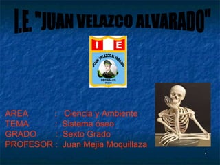 AREA  :  Ciencia y Ambiente TEMA  :  Sistema óseo GRADO  :  Sexto Grado PROFESOR :  Juan Mejia Moquillaza I.E. &quot;JUAN VELAZCO ALVARADO&quot; 