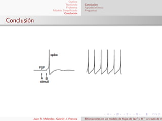 Outline
Trasfondo
Problema
Modelo Simpliﬁcado
Concluci´on
Concluci´on
Agradecimiento
Preguntas
Conclusi´on
Juan R. Melendez, Gabriel J. Porrata Bifurcaciones en un modelo de ﬂujos de Na+
y K+
a trav´es de m
 