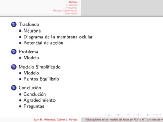 Outline
Trasfondo
Problema
Modelo Simpliﬁcado
Concluci´on
1 Trasfondo
Neurona
Diagrama de la membrana celular
Potencial de acci´on
2 Problema
Modelo
3 Modelo Simpliﬁcado
Modelo
Puntos Equilibrio
4 Concluci´on
Concluci´on
Agradecimiento
Preguntas
Juan R. Melendez, Gabriel J. Porrata Bifurcaciones en un modelo de ﬂujos de Na+
y K+
a trav´es de m
 