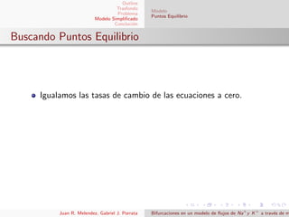 Outline
Trasfondo
Problema
Modelo Simpliﬁcado
Concluci´on
Modelo
Puntos Equilibrio
Buscando Puntos Equilibrio
Igualamos las tasas de cambio de las ecuaciones a cero.
Juan R. Melendez, Gabriel J. Porrata Bifurcaciones en un modelo de ﬂujos de Na+
y K+
a trav´es de m
 