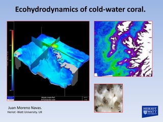 Ecohydrodynamics of cold-water coral.




Juan Moreno Navas.
Heriot -Watt University. UK
 
