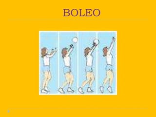 BOLEO
 
