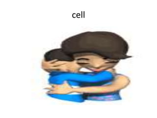 cell
 