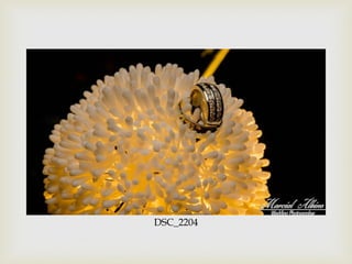 DSC_2204

 