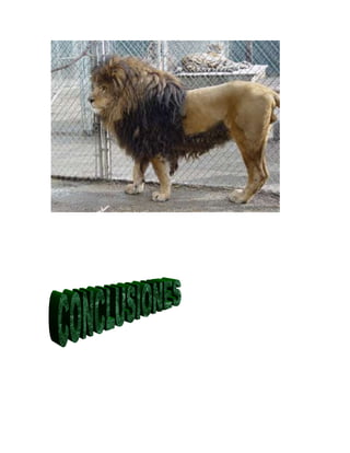 Juan pablo gallego agudelo